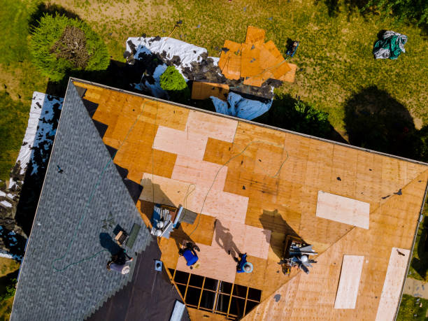 Best Metal Roofing Contractor  in Springfield, OR